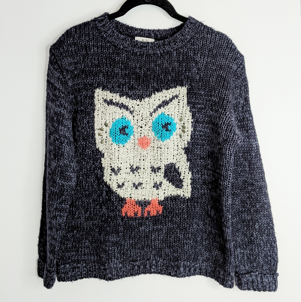 Urban Outfitters owl sweater